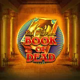 Miniatura della slot machine Book of Dead